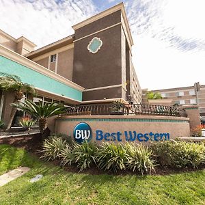 Comfort Inn&Suites San Diego Zoo SeaWorld Area